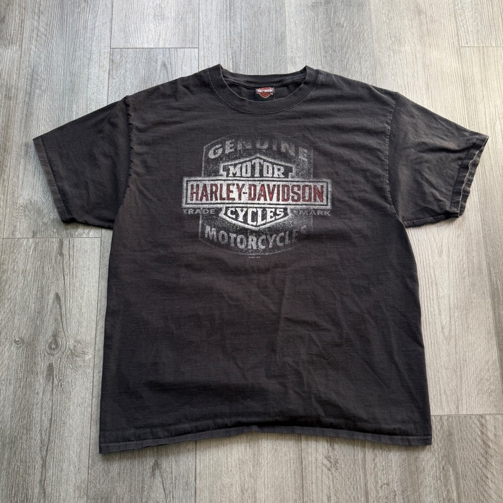 Harley-Davidson Mens XL Black Distressed Tee Reel Brothers Wisconsin Dells 2021